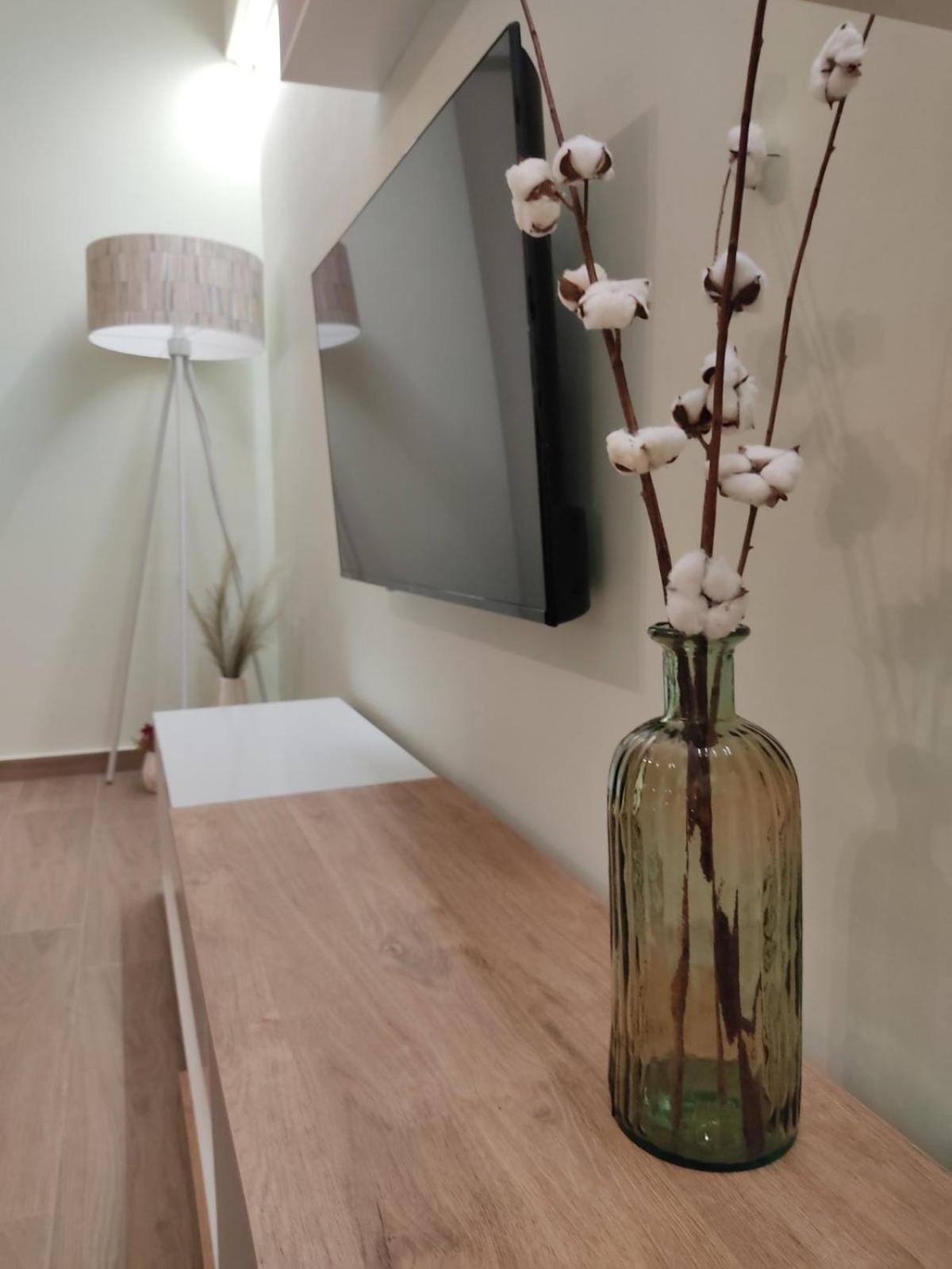 Aliki'S Studio 1 Kalampáka Ngoại thất bức ảnh