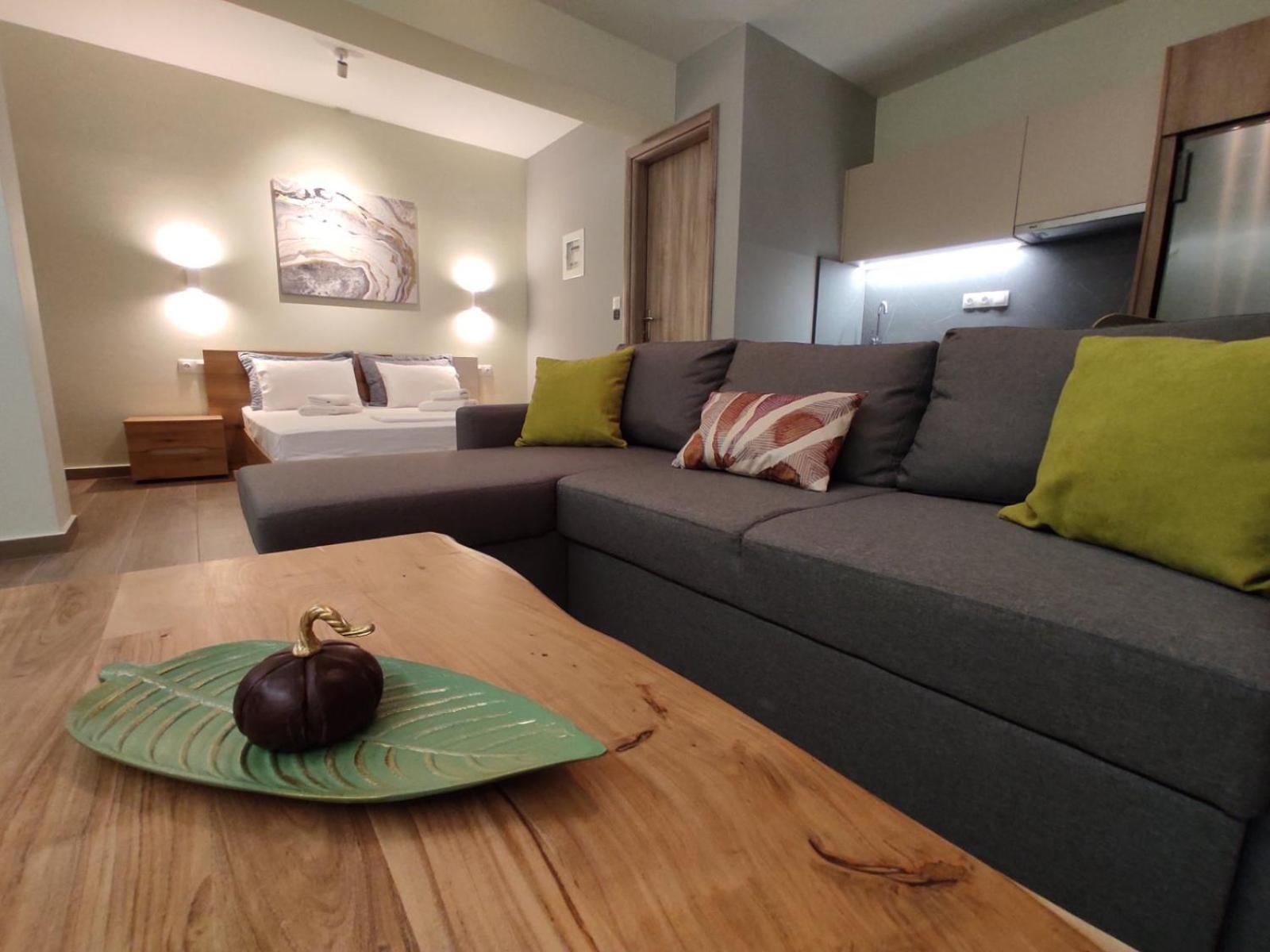 Aliki'S Studio 1 Kalampáka Ngoại thất bức ảnh